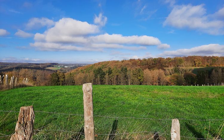 Frauenlandhaus Wandern Wiesen und Wälder