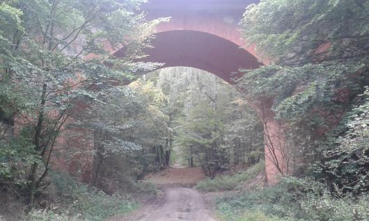 Hoher Fläming - Brücke