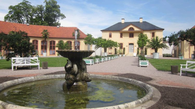 Schlosspark BELVEDERE