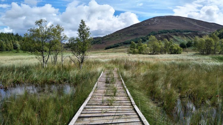 Wandern 2018