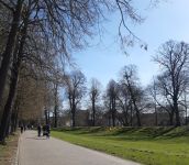 Promenade Fahrrad III